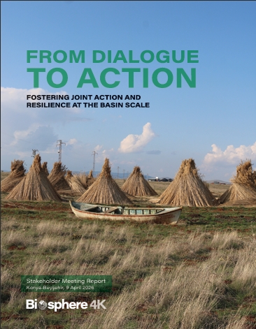 From Dialogue To Action