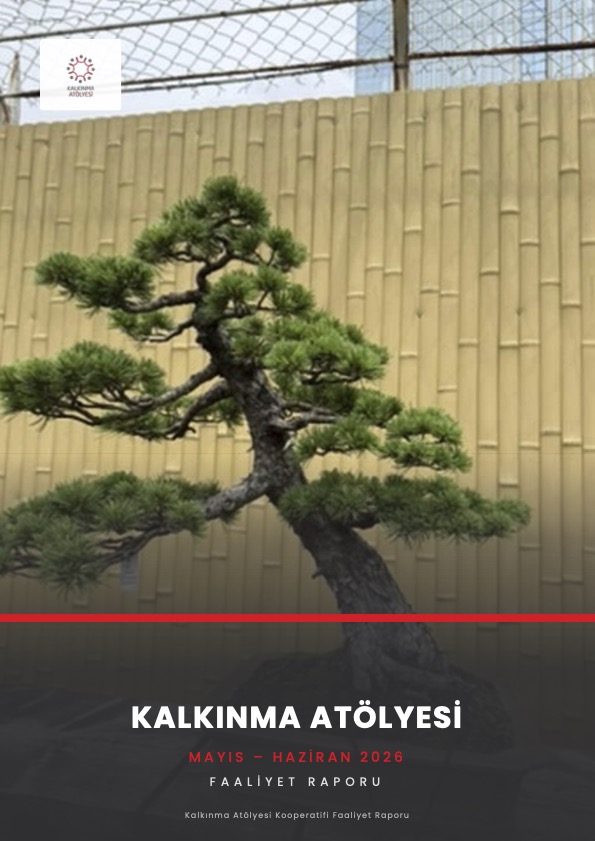 Kalkınma Atölyesi Faaliyet Raporu (Mayıs - Haziran 2026)