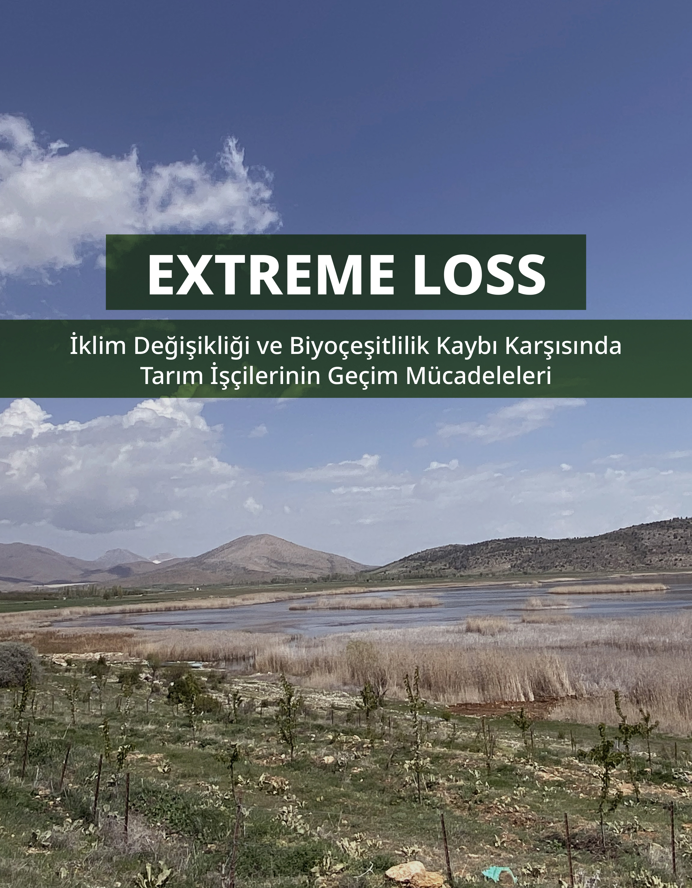 EXTREME LOSS