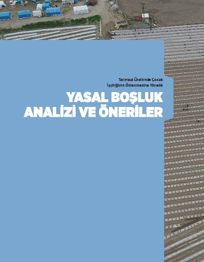 Tarımsal Üretimde Çocuk İşçiliğinin Önlenmesine Yönelik Yasal Boşluk Analizi ve Öneriler