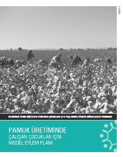 Pamuk Üretiminde Çalışan Çocuklar İçin Model Eylem Planı