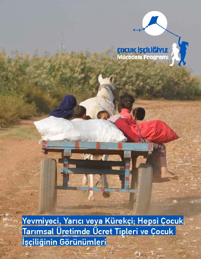 Yevmiyeci, Yarıcı veya Kürekçi; Hepsi Çocuk Tarımsal Üretimde Ücret Tipleri ve Çocuk İşçiliğinin Görünümleri