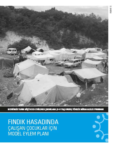Fındık Hasadında Çalışan Çocuklar İçin Model Eylem Planı