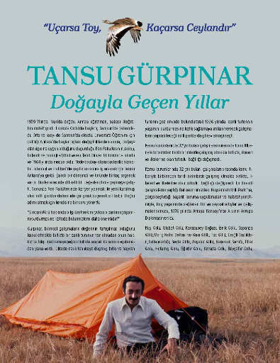 Uçarsa Toy Kaçarsa Ceylandır Tansu Gürpınar Özet