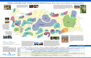 Tarımsal Üretimde Ürünler, Ücret Tipleri, Tarım Takvimi ve Araştırma İlleri