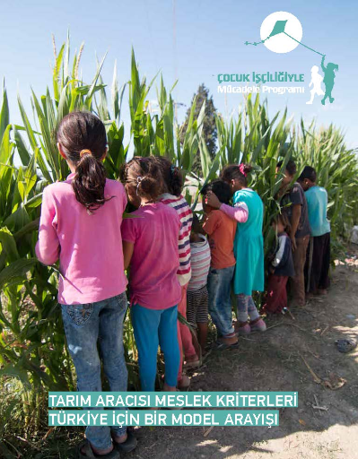 Tarım Aracısı, Meslek Kriterleri, Türkiye İçin Bir Model Arayışı