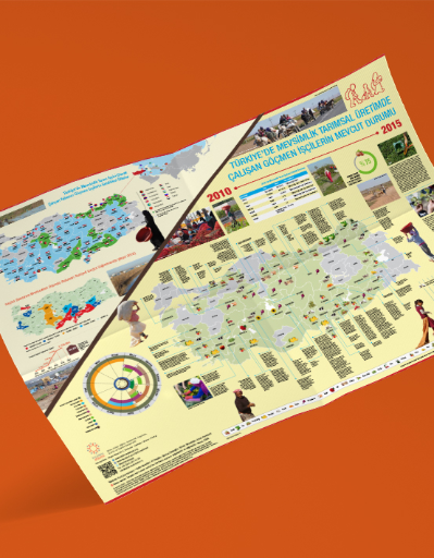 Türkiye'de Mevsimlik Tarımsal Üretimde Çalışan Göçmen İşçiler Mevcut Durum Haritası 2010-2015