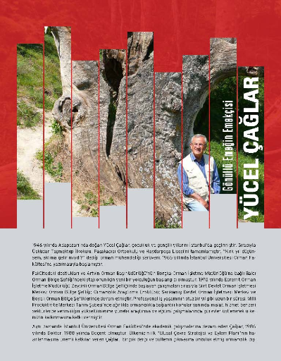 Gönüllü Emeğin Emekçisi Özet